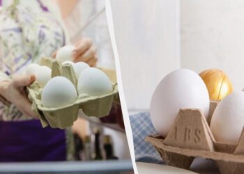 Як зберігати яйця, щоб не псувалися місяцями: простий лайфхак, про який мало хто знає