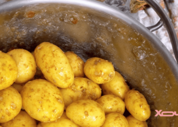 Как почистить килограмм молодого картофеля за 4 минуты и без грязных рук: самый простой способ (ВИДЕО)