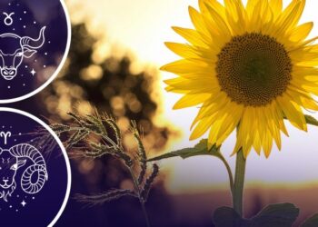 Літо кличе: 3 знаки зодіаку, в яких відбудуться кардинальні зміни у житті