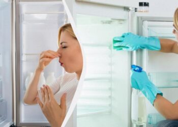 Найкращий засіб від запаху в холодильнику: експерт розкрив, як вирішити проблему
