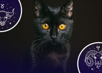 Не пощастить: 3 знаки зодіаку, в яких у червні почнеться чорна смуга у житті