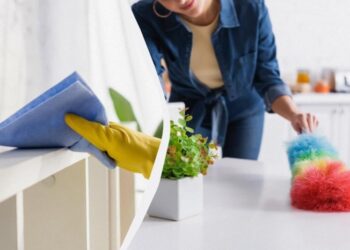 Робочий засіб від пилу: перевірений лайфхак, який спростить прибирання