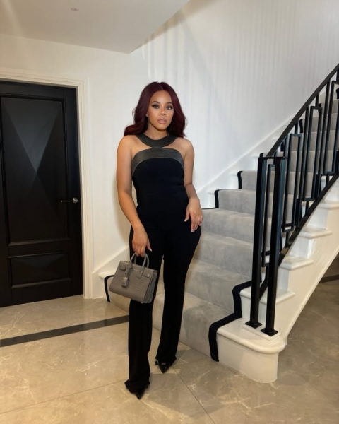 "Сумка мрії" під загрозою: чому Hermès Birkin стали мішенню злочинців