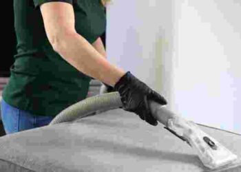 Як позбутися бліх у домі назавжди: ефективні методи