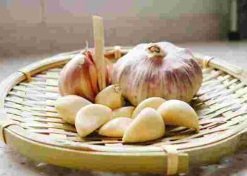 Не втратить смаку: як правильно заморозити часник, щоб зберегти його якості