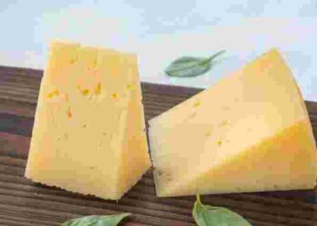 Як зберігати твердий сир у холодильнику, щоб він довго не псувався: корисні поради