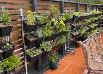 Посадіть город просто на балконі: правила і переваги вертикальної посадки