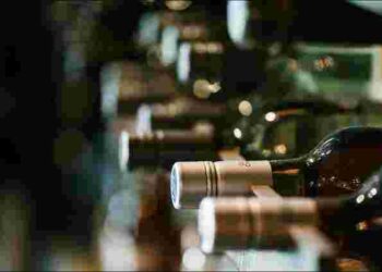 Де і як потрібно зберігати відкрите вино, щоб воно не зіпсувалося: поради