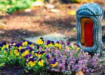 Забудьте про ці квіти: які рослини на варто не висаджувати на кладовищі