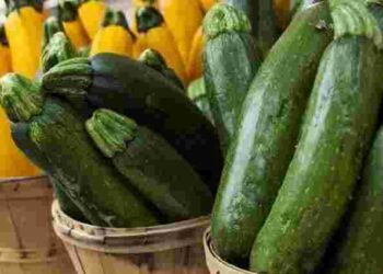 Як за допомогою кабачків знизити холестерин, рівень цукру в крові і позбутися закрепів