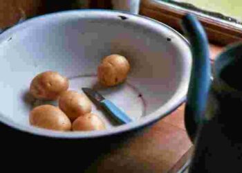 Чим відмити руки після чищення молодої картоплі: прості та дієві способи