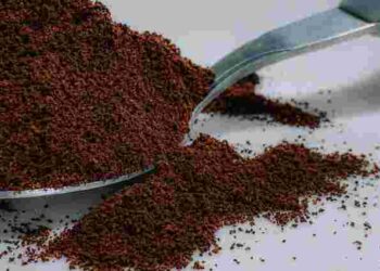 Звичайна кава врятує вашу грядку від мурах, равликів і слимаків: як її використовувати