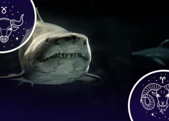 Астрологи застерегли 2 знаки зодіаку, які скоро зіткнуться з небезпекою