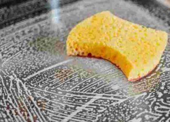 Відповідь вас точно здивує: як часто потрібно змінювати губку для посуду