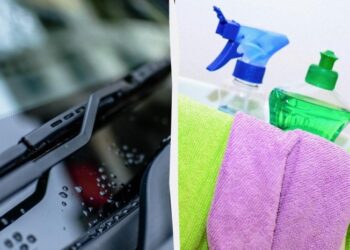 Чим очистити лобове скло від мошок і посліду: 2 надійні методи