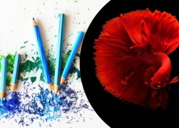 Кольори душі: астрологи підібрали відтінки, які відповідають кожному знаку зодіаку