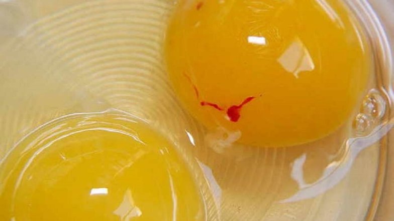 Можно ли есть яйцо с красным пятном внутри: окончательный ответ