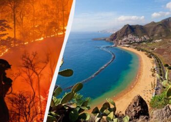 На Канарах відпочинок туристам псують лісові пожежі та бактерії в океані