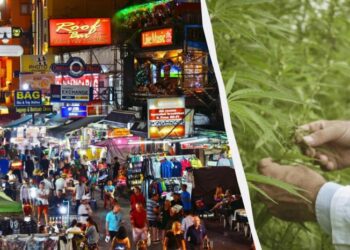 Недовго тривало свято: Таїланд забороняє продаж канабісу туристам без рецепта