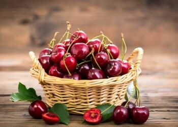 Неприятный “бонус”, который испортит аппетит: как принести домой черешню без червей