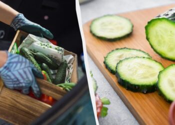 Огірки будуть свіжими на 7 днів довше: просто не кладіть їх поруч з цими продуктами