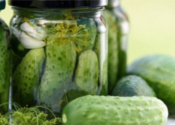 Рецепт неважен: одно простое действие, чтобы консервированные огурцы остались зелеными, как свежие