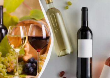 Список смачних сухих і напівсолодких вин до 500 грн: шпаргалка за сортами та виробниками