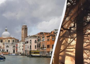 У центрі Венеції 50-річне дерево впало на туристів, є серйозно постраждалі