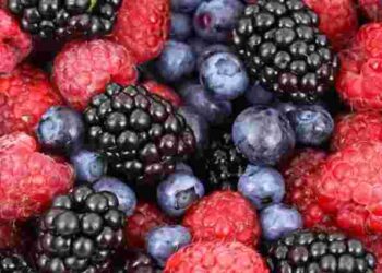 Літні суперягоди: чим корисні малина, лохина й ожина та кому їх не можна їсти