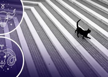 3 знаки зодіаку, у яких після ретроградного Меркурія почнеться чорна смуга у житті