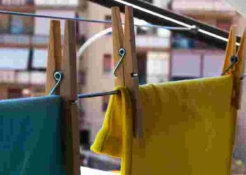 Одяг можна врятувати: як відчистити його від плісняви і цвілі