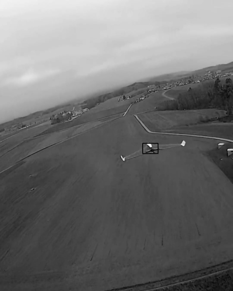 Harmattan AI Gobi: зенитний дрон-камікадзе для полювання на БПЛА