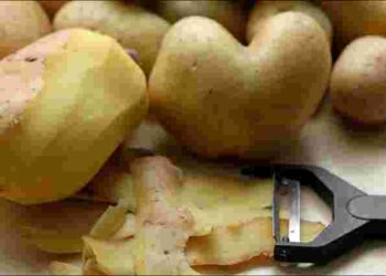 Ніколи не варіть картоплю: помилка, через яку овоч втрачає більшість вітамінів
