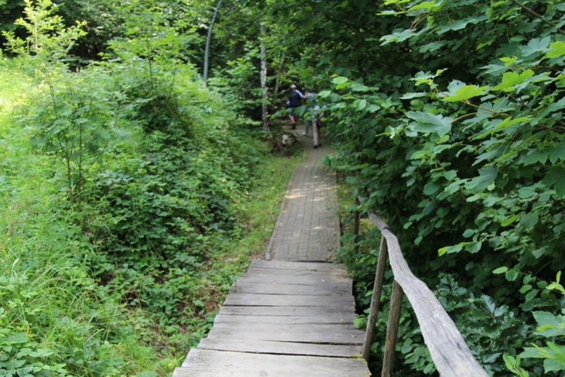 Біля Східниці з'явився новий туристичний маршрут: він адаптований для людей з інклюзією