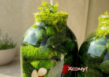 Что добавить в банку, чтобы огурчики получились нереально хрустящими: малосольное чудо (ВИДЕО)