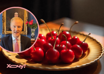 Что сделать с косточкой, чтобы не опозориться: единственный способ правильно есть вишню (ВИДЕО)