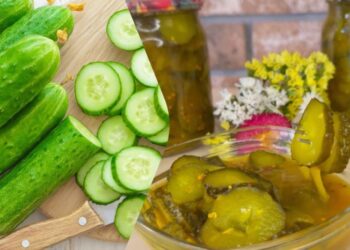 Домашні огірки як у Макдональдсі: три прості рецепти