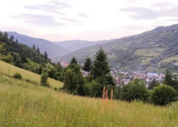 Дух Гуцульщини на березі Тиси: чому в село Богдан варто з’їздити хоча б раз