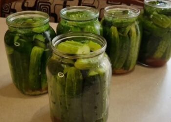 Эти огурцы уничтожат вашу консервацию: бросайте их в мусорник, а не в банку