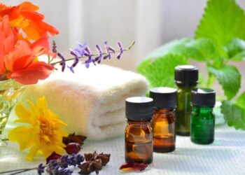 Комахи зникнуть без зусиль: яку ефірну олію взяти від мух, мурах і мошок