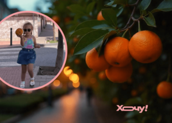 “Ловушка для туристов”: украинка в Испании рассказала, к какой бесплатной еде не стоит тянуться (ВИДЕО)