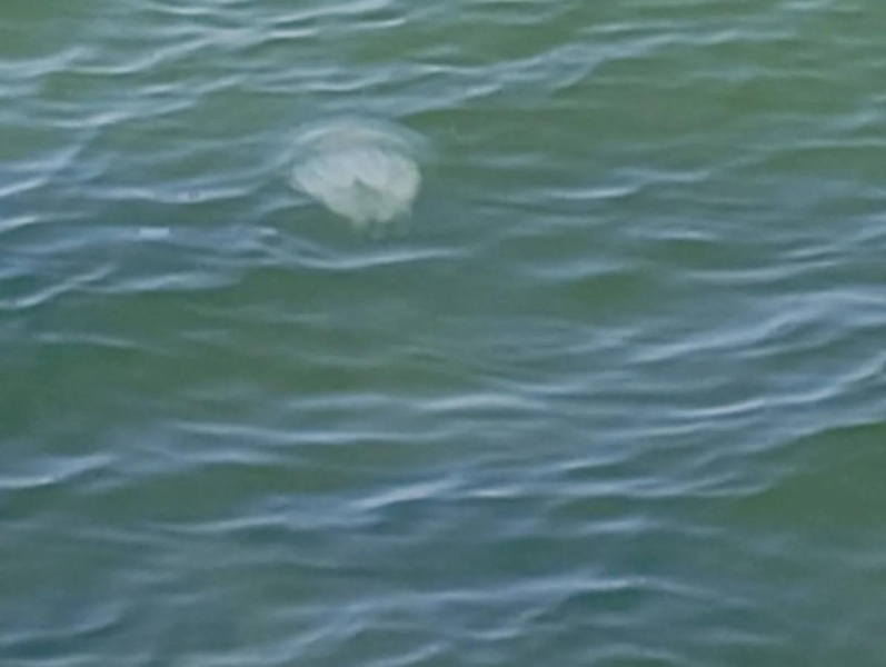 Майже безлюдний: в що перетворили окупанти популярний український курорт