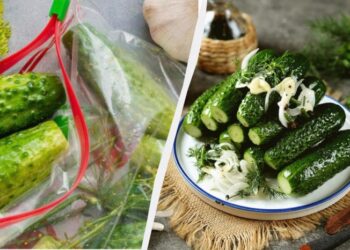 Малосольні огірки в пакеті “П’ятихвилинка”: усі благають поділитися рецептом