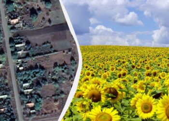 Менше кілометра до кордону з Молдовою: де розташоване село Олег і як дістатися