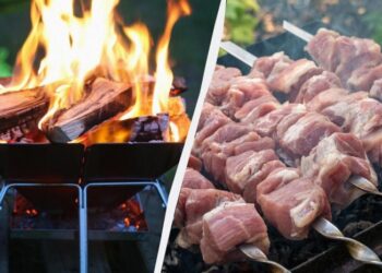 На яких дровах смажити шашлик, щоб м’ясо було соковитим і ароматним: головний секрет