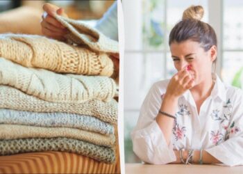 Навіть стара радянська шафа не пахнутиме затхлим: ось як вирішити проблему за хвилину