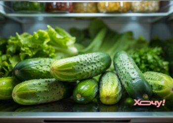 Обязательно сделайте это с огурцами, прежде чем класть в холодильник: не вянут и не портятся (ВИДЕО)