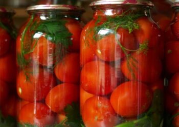 Помидоры на зиму “как золото”: ничего не надо стерилизовать и закручивать (ВИДЕО)