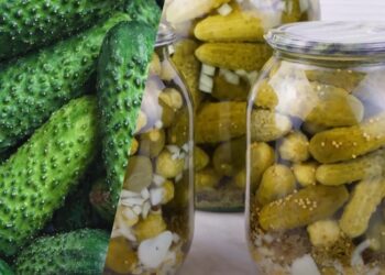Прості огірки на зиму з гірчицею без стерилізації: швидко і смачно