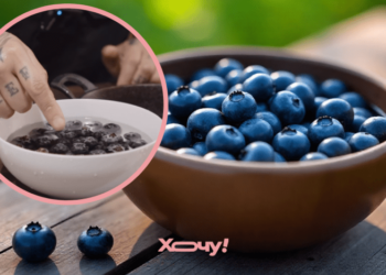 Шеф-повар показала, как за секунду отличить сладкую чернику от кислой (ВИДЕО)